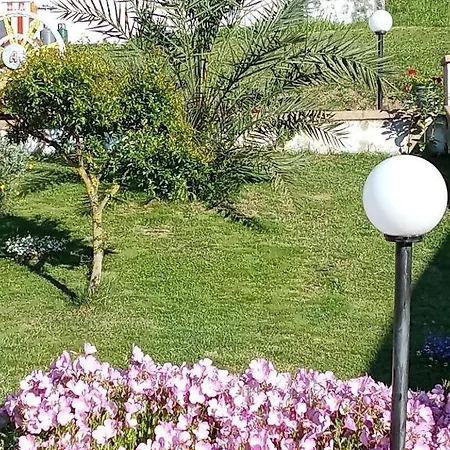 Stella Del Cilento Di Anna Botti Agropoli