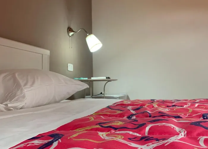 Stella Del Cilento Di Anna Botti アグローポリ