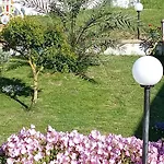 Stella Del Cilento Di Anna Botti Agropoli