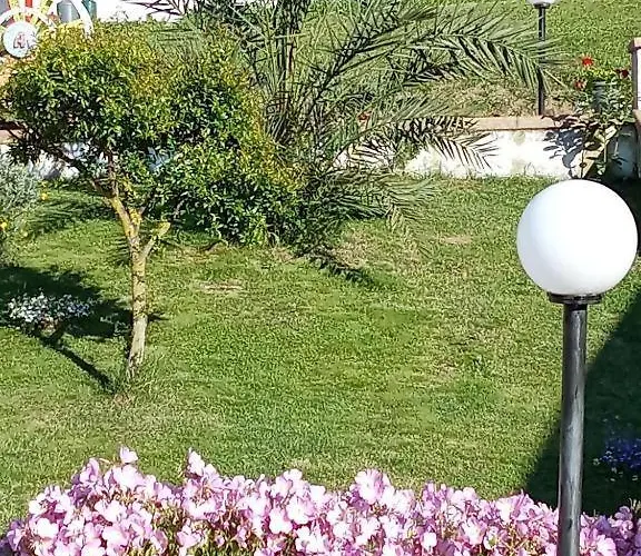 Stella Del Cilento Di Anna Botti אגרופולי